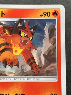 Pokemon card Torracat 205/SM-P Promo 2018 Pocket Monster Nintendo Japanese Rare - Image 3