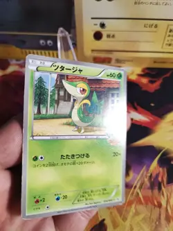 Pokemon Karte Card Snivy Serpifeu BW Promo Pokemon Center Ito Yok japanese Good- - Image 2
