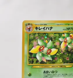 Pokemon card TCG Bellossom No.182 Holo Rare Old Back Neo Genesis 2000 Japanese - Image 3