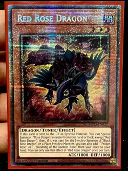 Red Rose Dragon Starlight Rare 1st Edition Mint Yu-Gi-Oh! Card [MP25-EN037] - Image 1