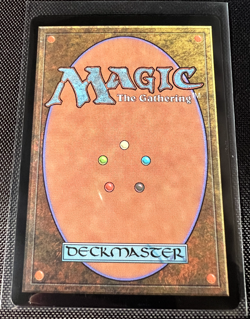 MTG Fountainport BLB 0253 FOIL Rare Land Bloomburrow NM - Image 3