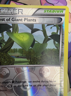 ✨1c Start✨ Forest Of Giant Plants 74/98 Pokemon Trading Card Game 🌺 - Image 5