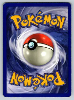 Ivy Pikachu 1 WOTC Black Star Promo Pokemon Card Vintage HP - Image 2