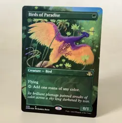 MTG Birds of Paradise - Borderless Foil - DMR NM - Image 1