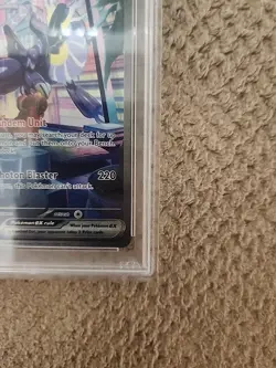 Miraidon ex 244/198 Sv01: Pokemon Scarlet & Violet Base Set Holo SIR- PSA 10 - Image 5