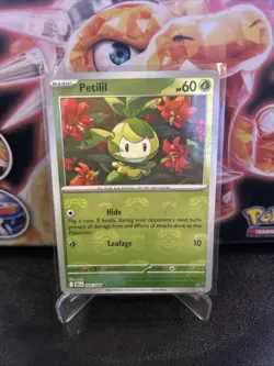 Pokemon TCG Petilil 006/086 Master Ball Reverse Holo Black Bolt - Image 1