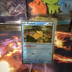 Psyduck (MEP 007) [Cosmos Holo] (NM) - Pokemon - Mega Evo Black Star Promo (ENG) - Image 1