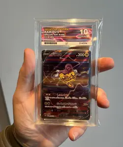 ACE 10 Raikou V 218/172 SAR Japanese Pokemon Card VSTAR Universe GEM MINT - Image 1