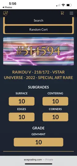 ACE 10 Raikou V 218/172 SAR Japanese Pokemon Card VSTAR Universe GEM MINT - Image 4