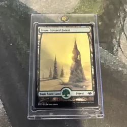 MTG Snow-Covered Forest - Modern Horizons (MH1) #254 Magic the Gathering - Image 3
