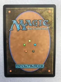 Mtg Carte Magic Secret Lair Exotic Orchard English FOIL 90's Binder NM - Image 2