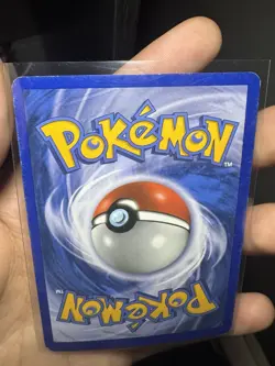 Raikou Cracked Ice Holo Rare - Pokemon TCG Secret Wonders (16/132) - Image 2