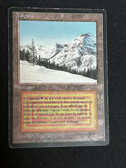 Magic MTG 1x Taiga FBB Foreign Black Border french - Image 1