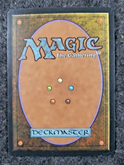 No Quarter #193 (NM) Tempest TMP Magic MTG (DS3D1L1) - Image 2