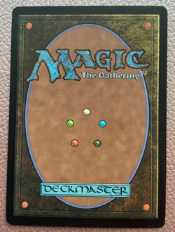 Elvish Champion MTG Magic the gathering - Image 2