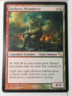 Rosheen Meanderer - Shadowmoor - Magic the Gathering MTG Nice! - Image 1