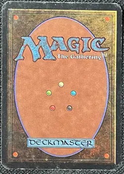 Magic the Gathering MtG Alpha Forest Basic Land [Heavily Played] - Image 2
