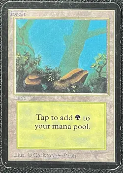 Magic the Gathering MtG Alpha Forest Basic Land [Heavily Played] - Image 1