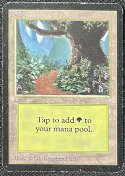 Magic the Gathering MtG Alpha Forest Basic Land [Heavily Played] - Image 1
