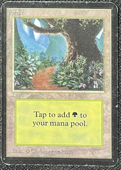 Magic the Gathering MtG Alpha Forest Basic Land [Heavily Played] - Image 1