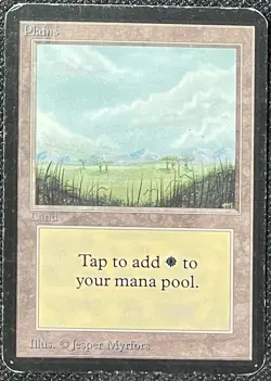 Magic the Gathering MtG Alpha Plains Basic Land [Heavily Played] - Image 1
