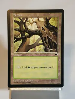 MTG Forest Tempest Regular Land Magic - Image 1