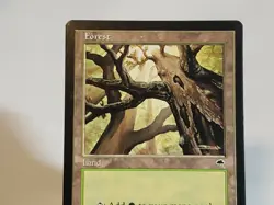 MTG Forest Tempest Regular Land Magic - Image 2