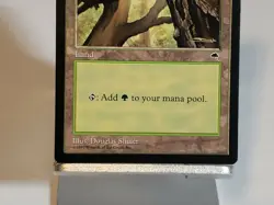 MTG Forest Tempest Regular Land Magic - Image 3
