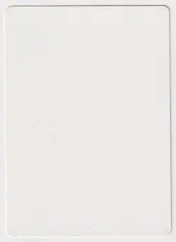 Signed Fire Sprites Proof LP Legends Artist Julie Baroh 1994 WOTC MTG Magic AP! - Image 2