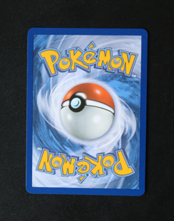 Pokemon Card TCG - Crustle 186/182 - Destined Rivals - Illustration Rare - NM ⭐ - Image 4