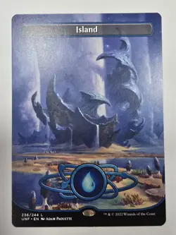 Island (236) (Borderless) Unfinity Regular Magic The Gathering - Image 1