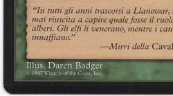 Heartwood Treefolk Italian Mtg MISPRINT. Wrong artist name: "Daren Badger" - Image 3