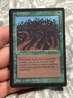 Magic The Gathering Lot Of 11 Beta Cards - Image 4