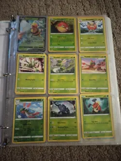 Astral Radiance Binder Lot 129 Cards Includes Rares and Holos and More - Image 2