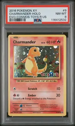 Pokemon Charmander Holo 2016 XY Evolutions Toys R US Cosmos Promo #9 PSA 8 NM-MT - Image 1