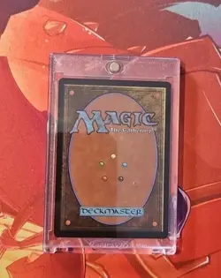 Land Tax (Anime Borderless) Wilds of Eldraine: Enchanting Tales Foil - Image 2