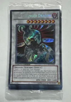 Yu-Gi-Oh! TCG Black-Winged Dragon 2010 Collectors Tin CT07-EN002 Sealed Promo - Image 1