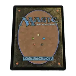 Willowrush Verge (Borderless) Aetherdrift Mtg Rare Dual Land Magic The Gathering - Image 2