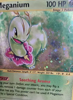 Pokemon TCG WOTC Meganium Expedition Holo Rare Card 18/165 Holofoil e-Card - Image 3
