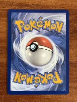 Team Rocket's Wobbuffet SVP 203 Pokemon Center Exclusive Promo NM - Image 2