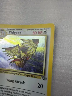 Pidgeot Jungle 8/64 1st Edition Holo Rare Card Pokemon TCG Light Play - Image 4