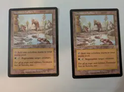 MtG Magic The Gathering - Urza's Destiny - YAVIMAYA HOLLOW (x2) - Rare Land - NM - Image 1