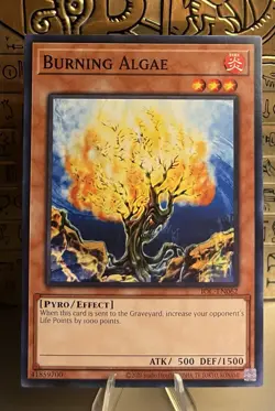 Burning Algae IOC-EN062 Invasion of Chaos 25th Anniversary Ed. Yugioh! NM - Image 1