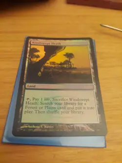 Windswept Heath (Judge) FOIL Promo NM - Image 1
