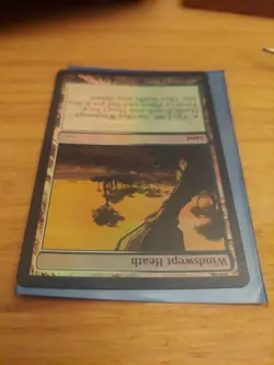 Windswept Heath (Judge) FOIL Promo NM - Image 2
