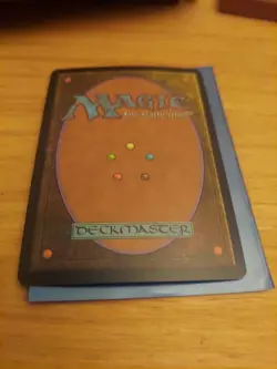 Windswept Heath (Judge) FOIL Promo NM - Image 3