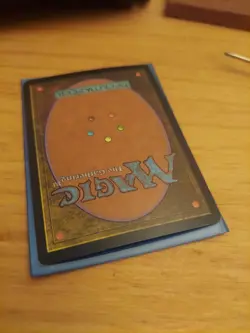 Windswept Heath (Judge) FOIL Promo NM - Image 4