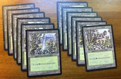 Magic The Gathering Mirage Basic Land Lot - Image 4