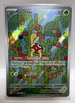 Shuckle 136/132 - ME01: Mega Evolution Pokemon Illustration Rare Holo - Image 1