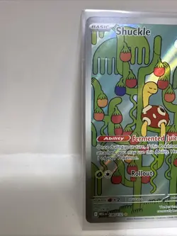 Shuckle 136/132 - ME01: Mega Evolution Pokemon Illustration Rare Holo - Image 2